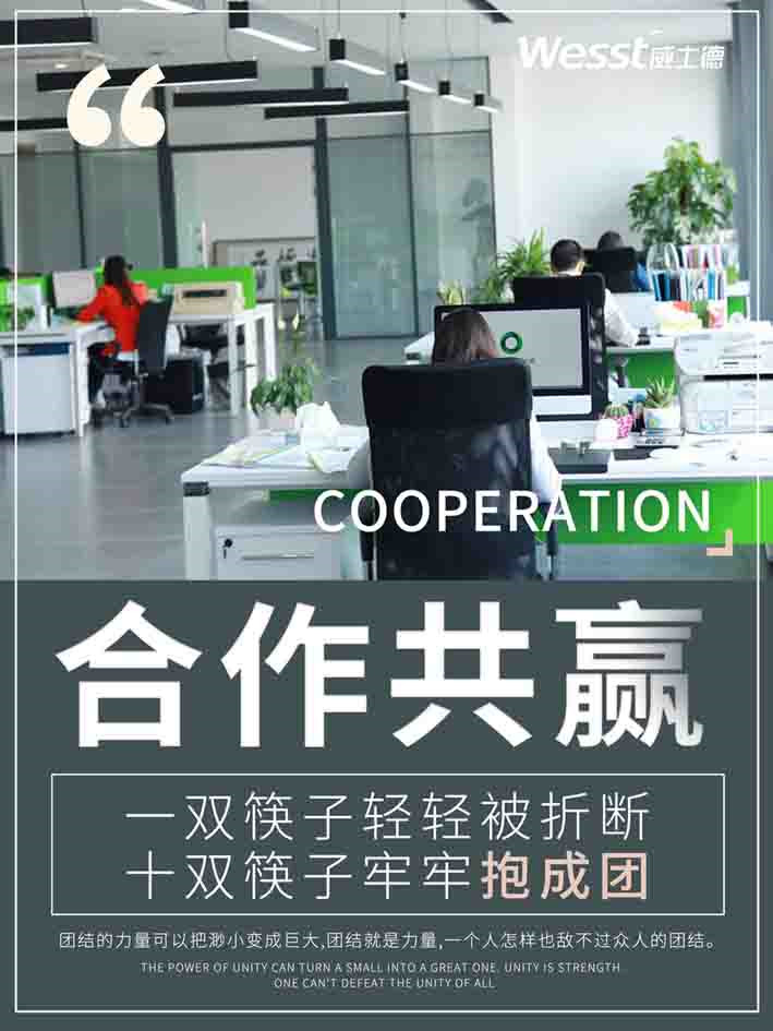 逐梦国际